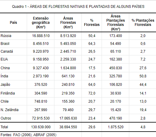 PINUS TAEDA - Sementes CaiÃ§ara